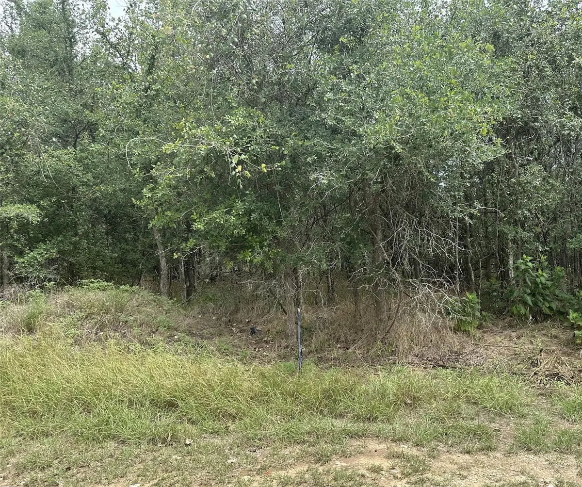 107 Halawa Ct, Bastrop, TX 78602 - #1