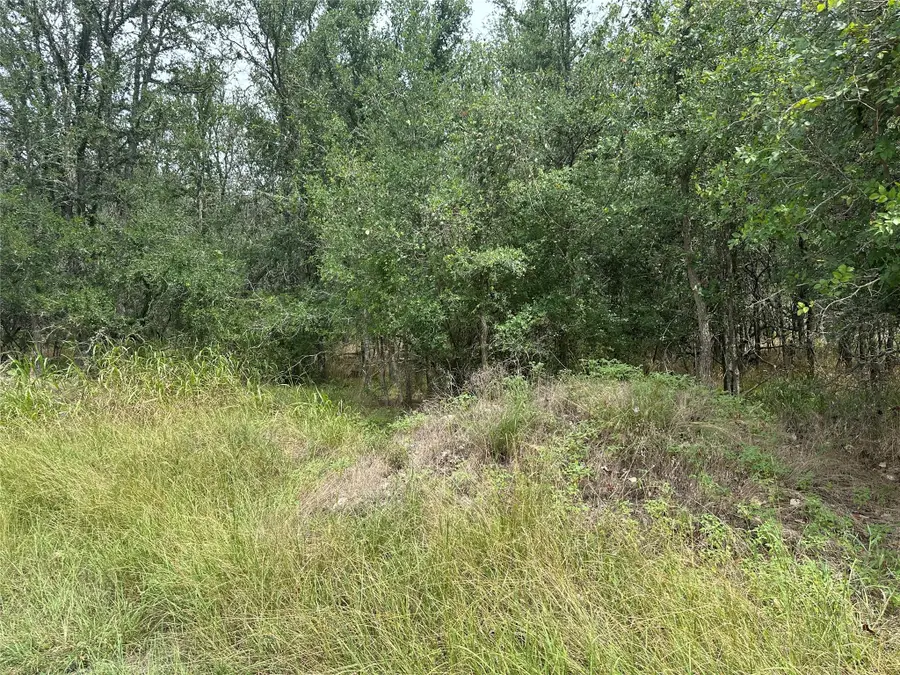 107 Halawa Ct, Bastrop, TX 78602 - #3