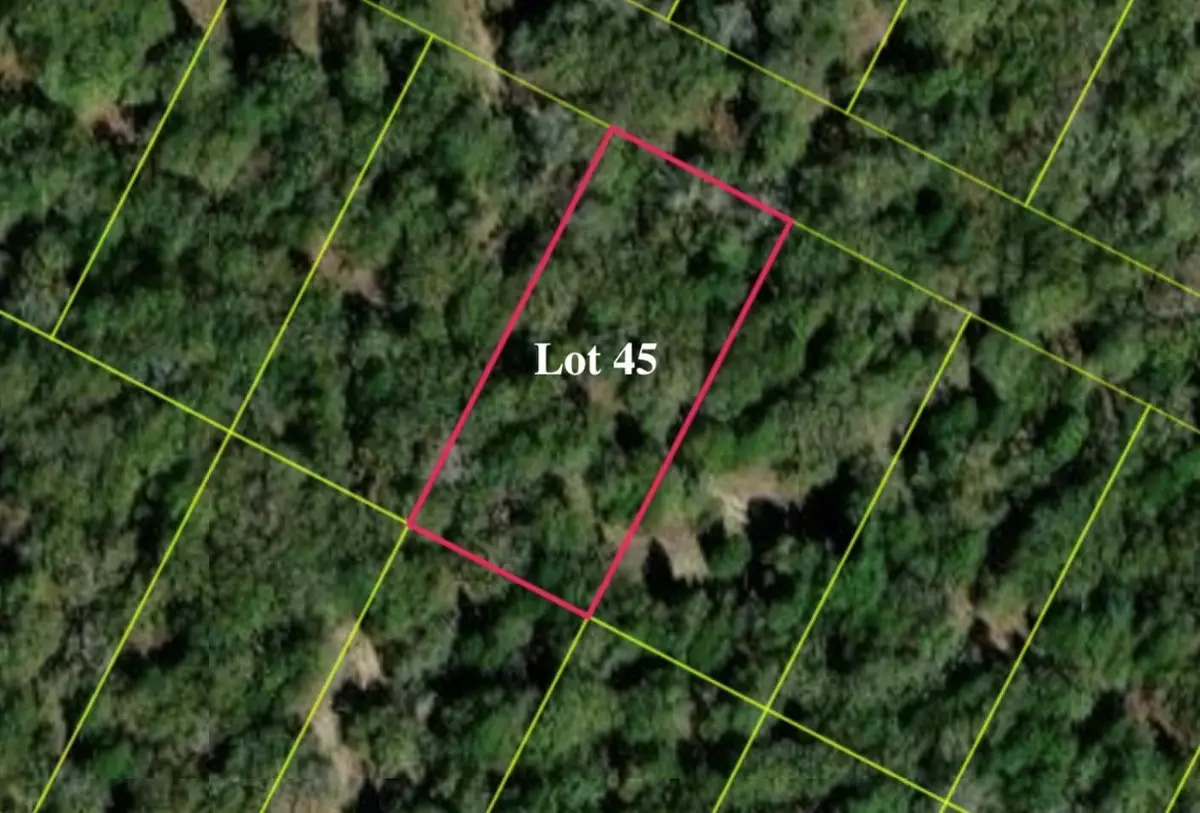 137 Las Alturas Dr, Elgin, TX 78621 - #1