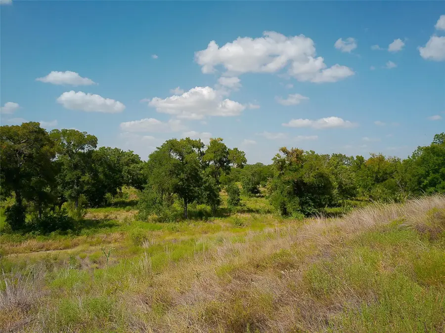 101 Scotty Ln, Liberty Hill, TX 78642 - #2