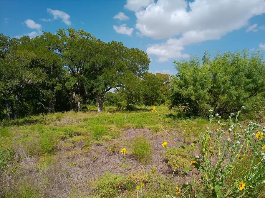 101 Scotty Ln, Liberty Hill, TX 78642 - #3