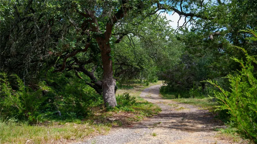 2041 Lone Man Mountain Rd, Wimberley, TX 78676 - #3