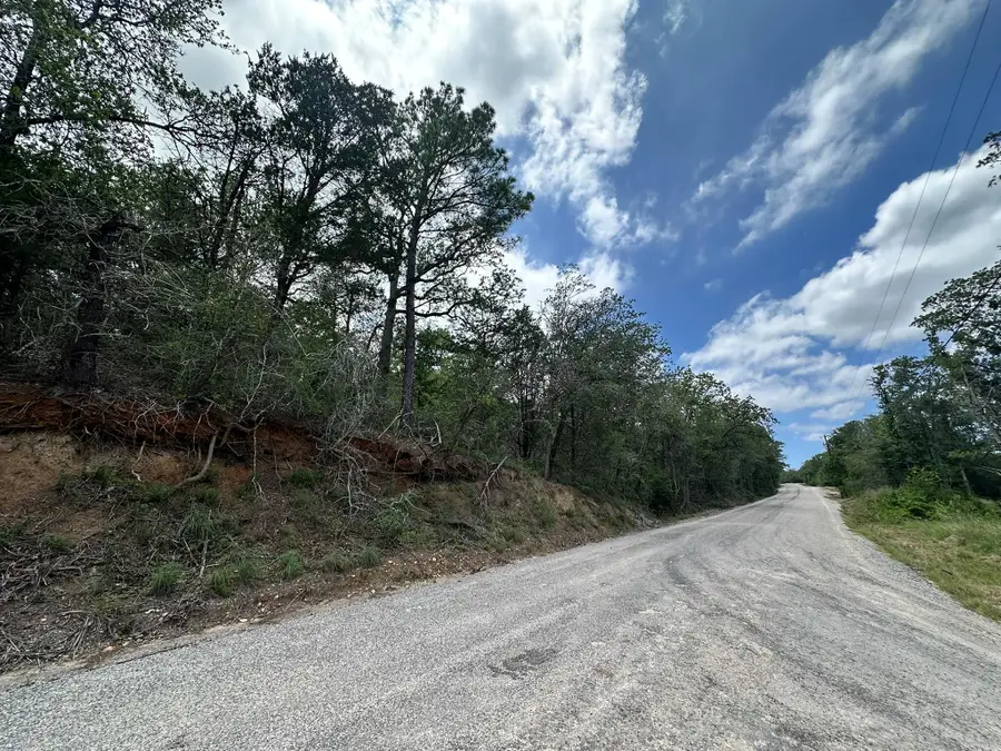 173 Kaaawa Ln, Bastrop, TX 78602 - #2