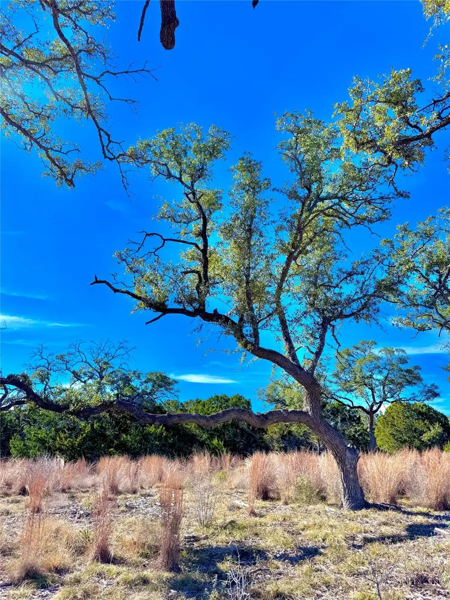 TBD tract  91 Citadel Dr, Center Point, TX 78010 - #2