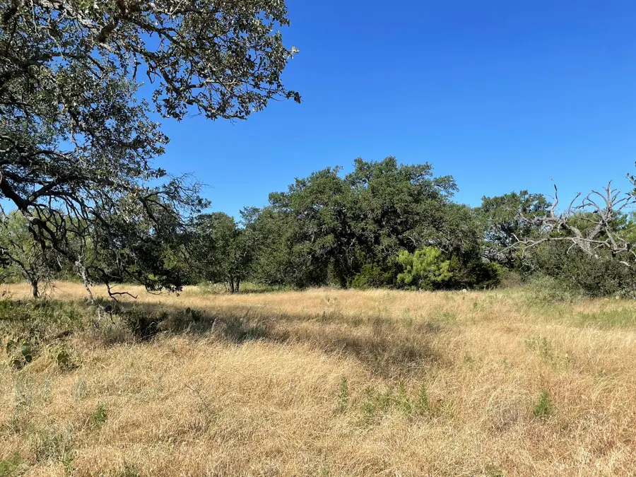 Lot 200 Swamp Creek Cove, Burnet, TX 78611 - #2