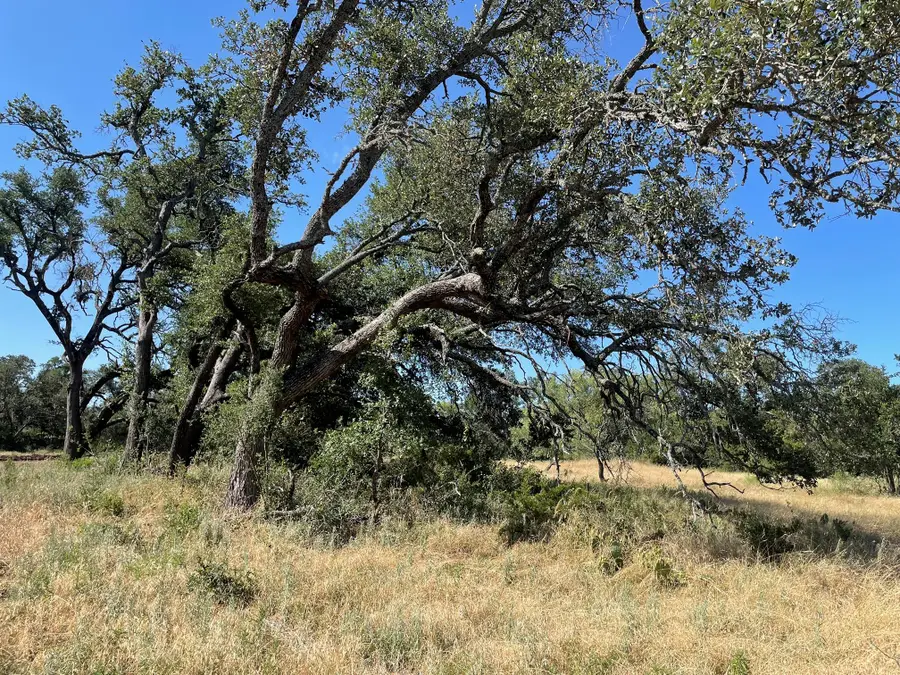 Lot 200 Swamp Creek Cove, Burnet, TX 78611 - #3
