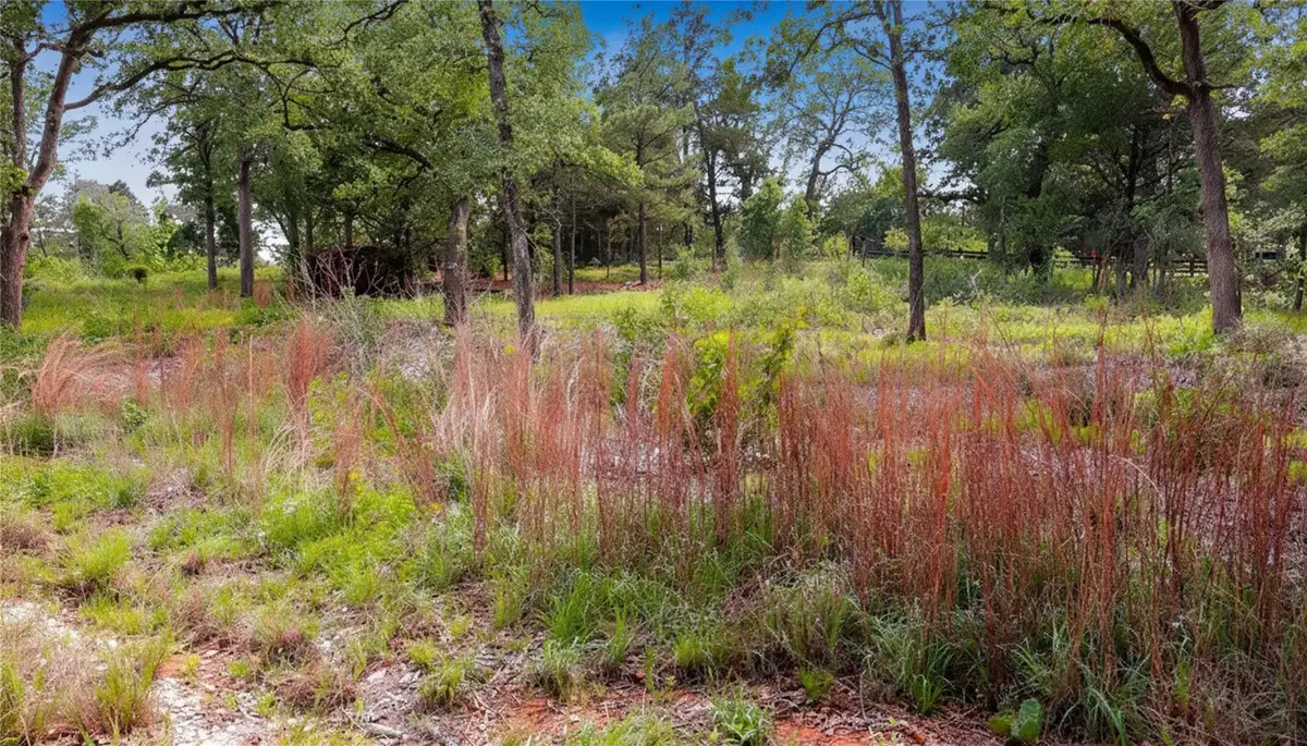 200 Cheyenne Dr, Smithville, TX 78957 - #1
