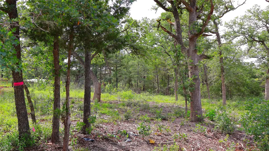 200 Cheyenne Dr, Smithville, TX 78957 - #3