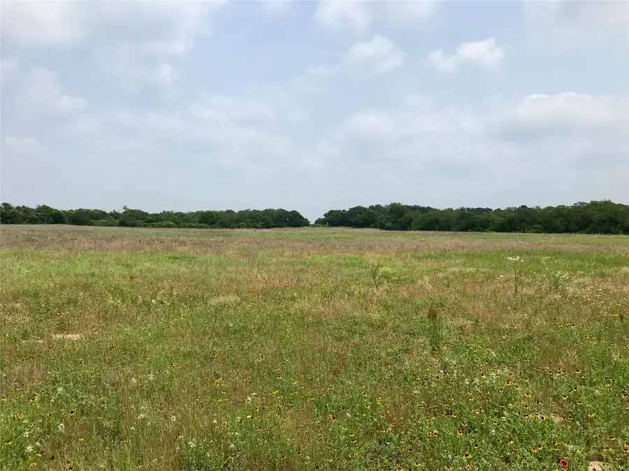 1672 Sayers Tract 4 Rd, Bastrop, TX 78602 - #2