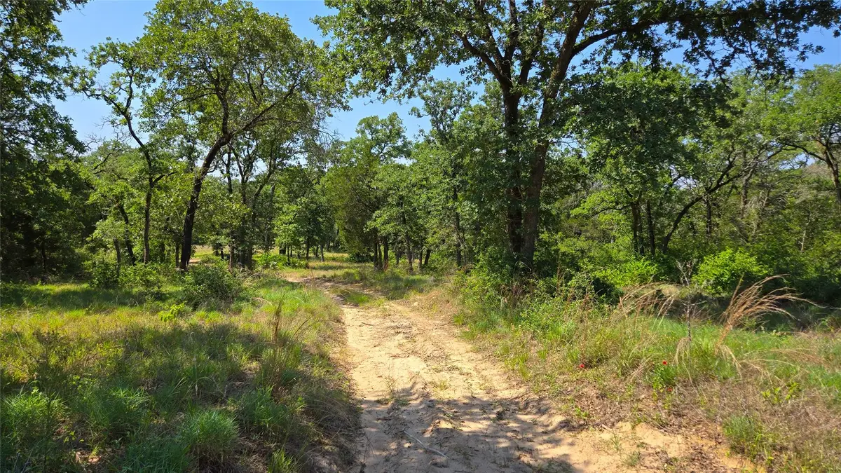 277 Meuth Cemetery Rd, Red Rock, TX 78662 - #1
