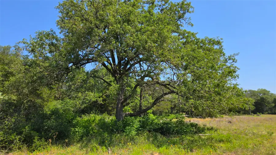 277 Meuth Cemetery Rd, Red Rock, TX 78662 - #3
