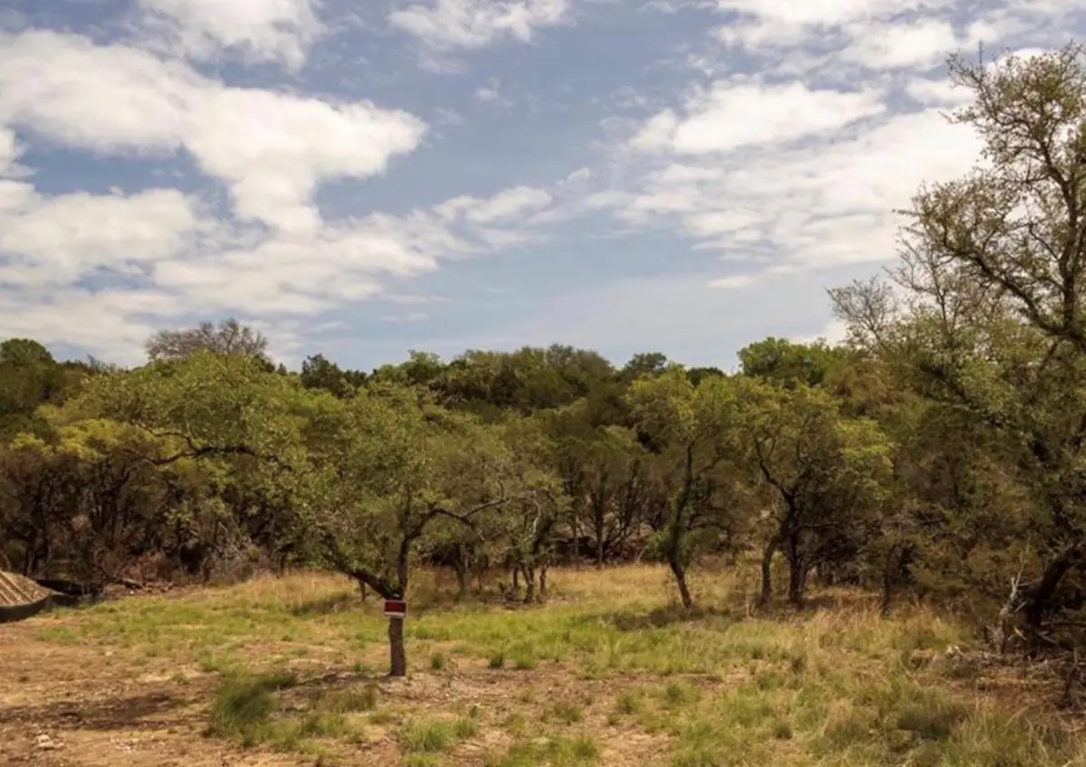 2905 Nevada Cv, Lago Vista, TX 78645 - #1