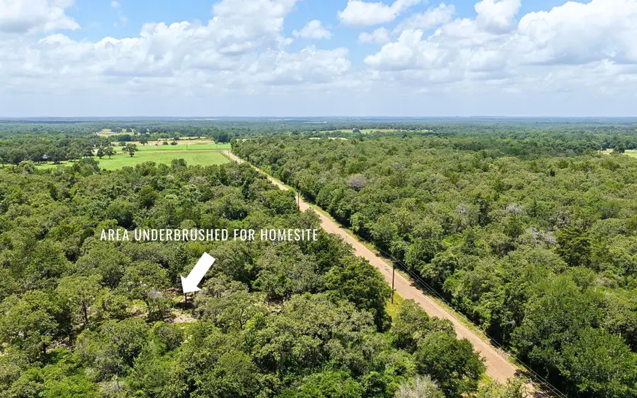 TBD County Road 378 (10 Acres), Caldwell, TX 77836 - #2