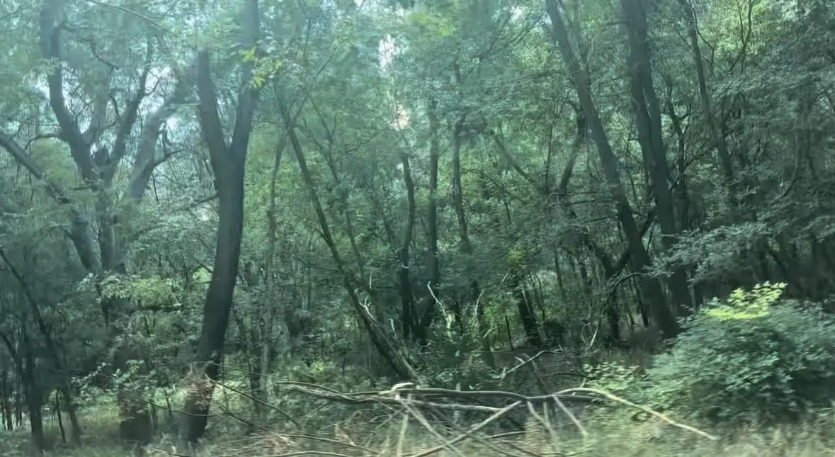 4202 Kings Ct, Austin, TX 78725 - Image #1