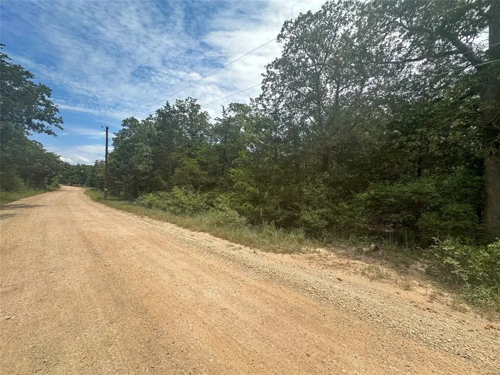 246 Arrowhead Dr, Smithville, TX 78957 - #1