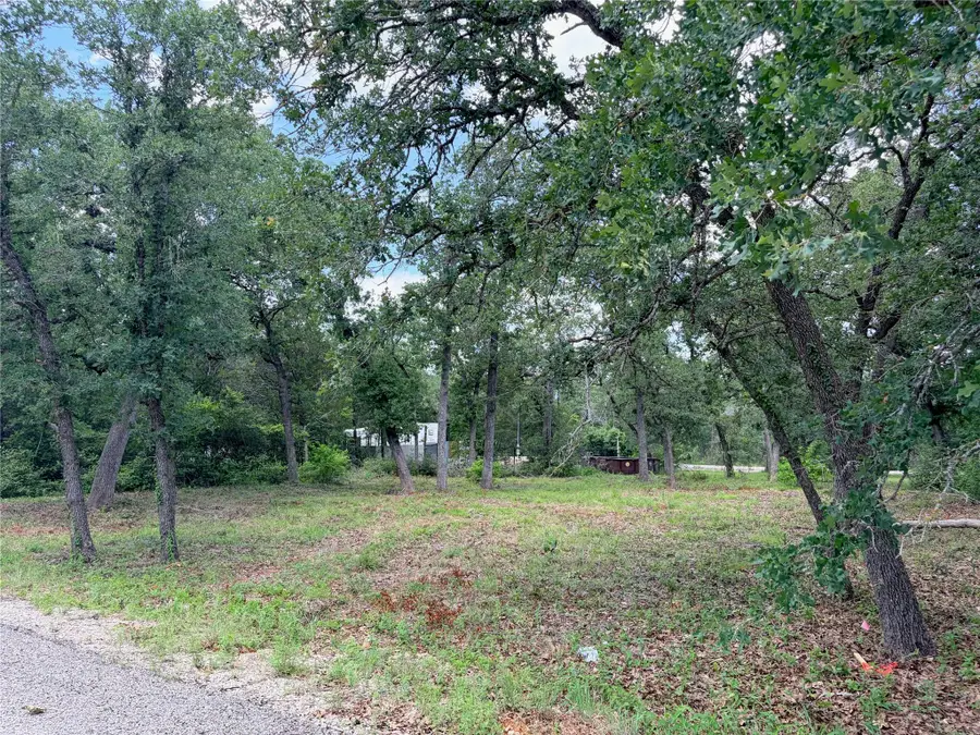 Lots-90/91 Arapaho Dr, Smithville, TX 78957 - #2