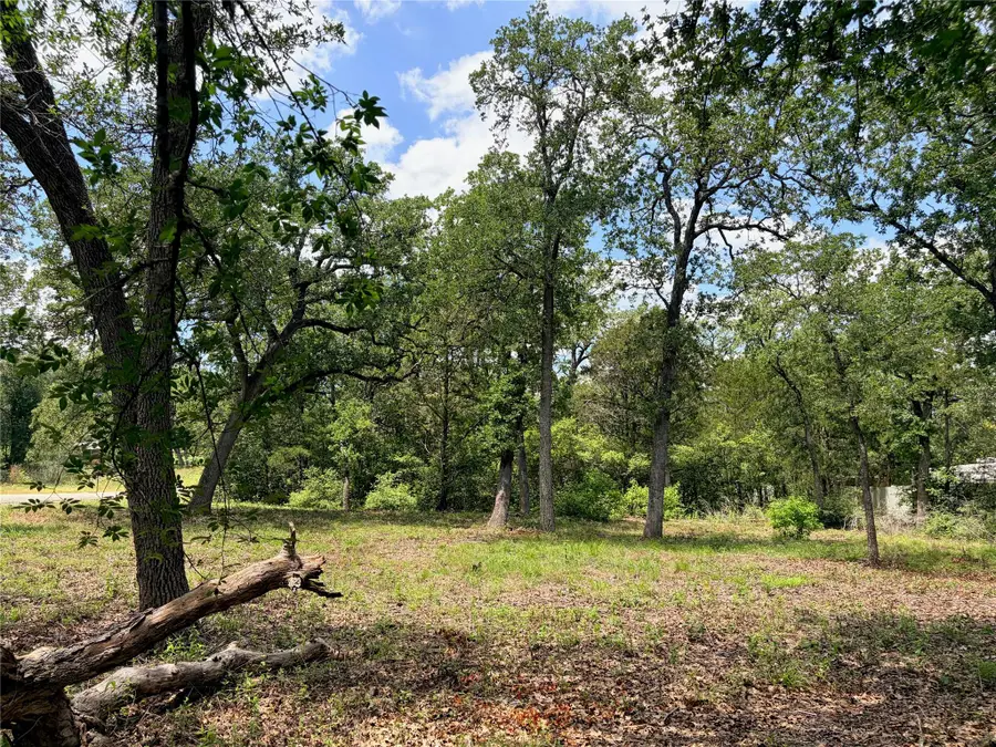 Lots-90/91 Arapaho Dr, Smithville, TX 78957 - #3