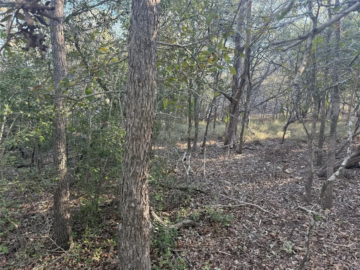 TBD Bali Hai Ln, Bastrop, TX 78602 - #1