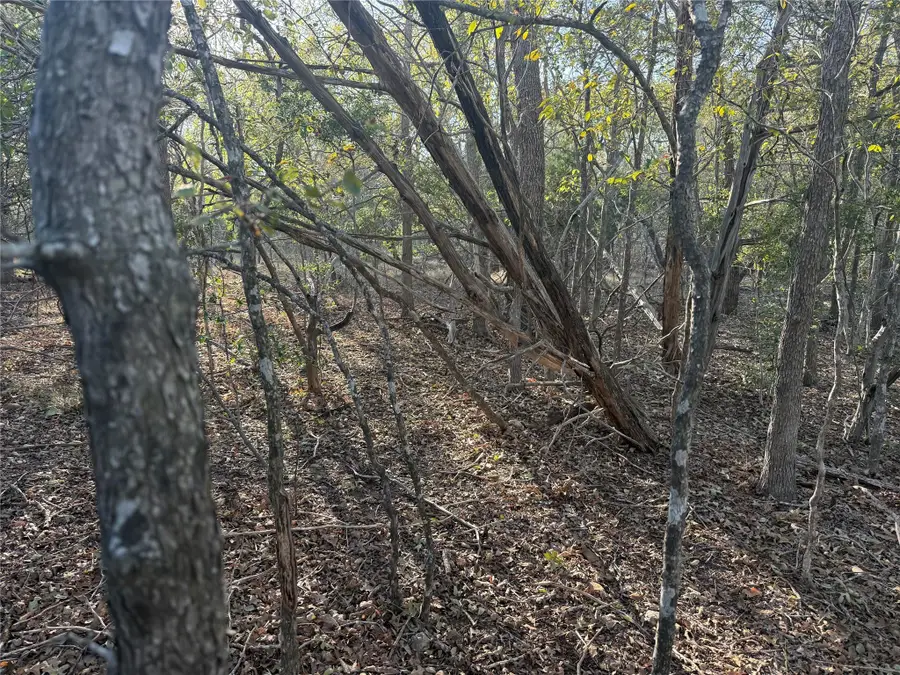 TBD Bali Hai Ln, Bastrop, TX 78602 - #2