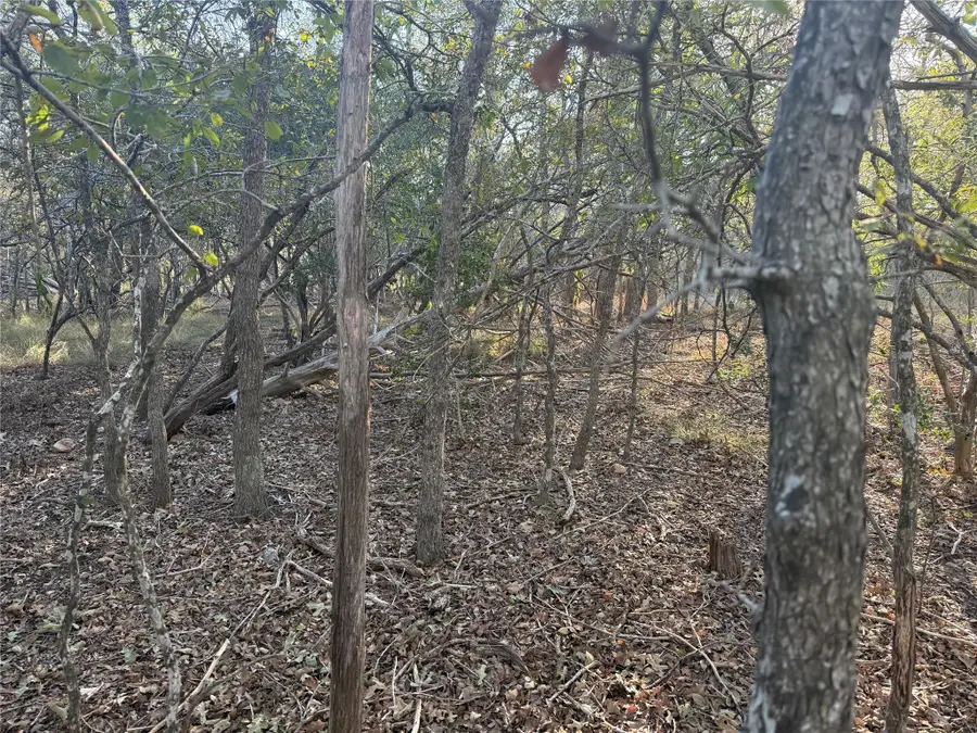 TBD Bali Hai Ln, Bastrop, TX 78602 - #3