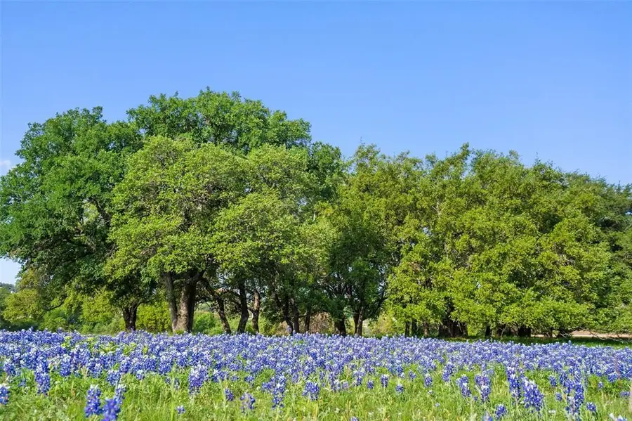 27132 Founders Pl, Spicewood, TX 78669 - #3