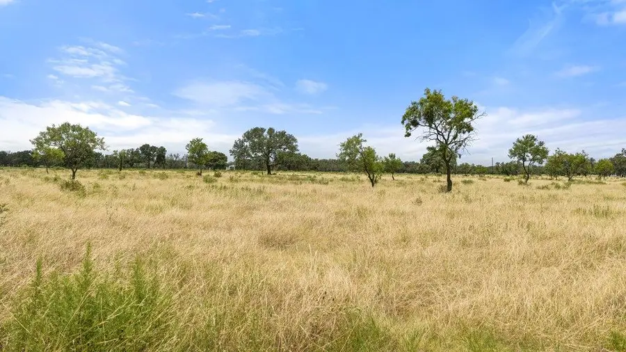 0 Golden Meadow, Johnson City, TX 78636 - #3