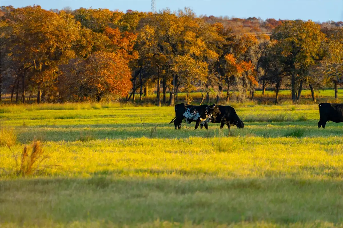 TBD Tx-123, Seguin, TX 78155 - #1