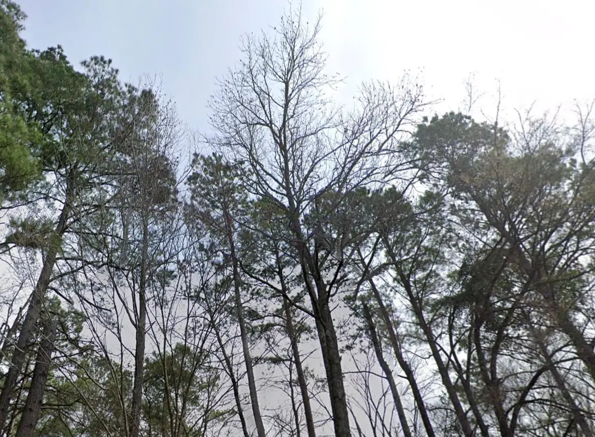 tbd Fm 2064 Frd, Rusk, TX 75785 - #1