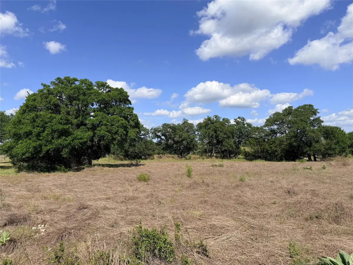 485 Inspiration Loop, Fredericksburg, TX 78624 - #1