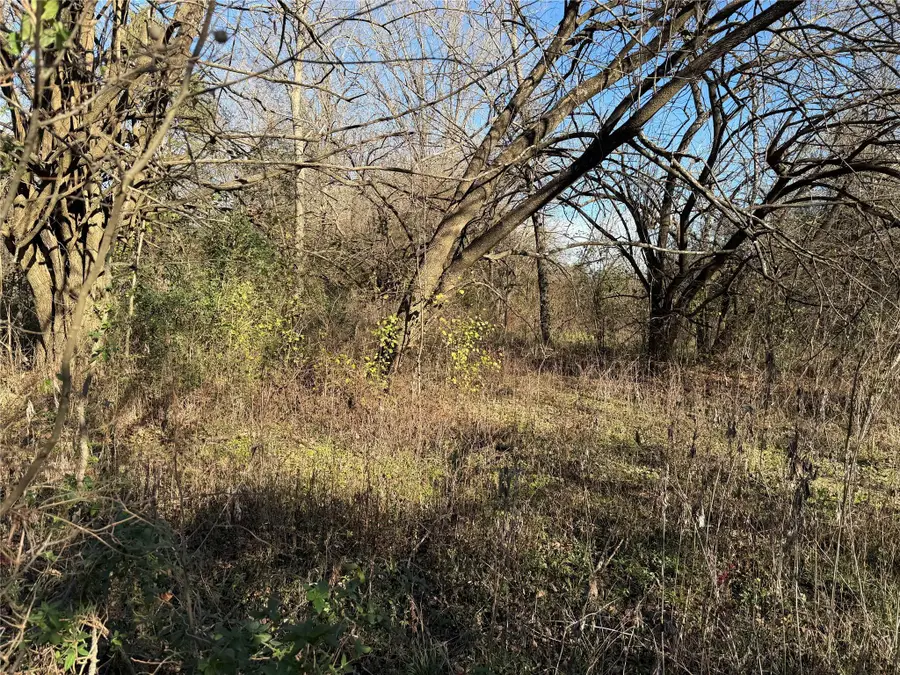 TBD County Road 925 Tract 17 Rd, Teague, TX 76667 - #2