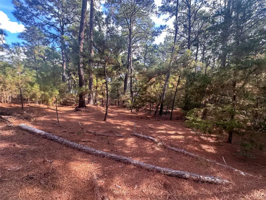 Lot 85 Hill Ridge Dr, Bastrop, TX 78602 - Image #2