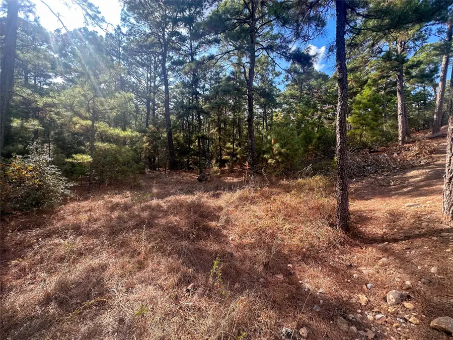 Lot 85 Hill Ridge Dr, Bastrop, TX 78602 - Image #3