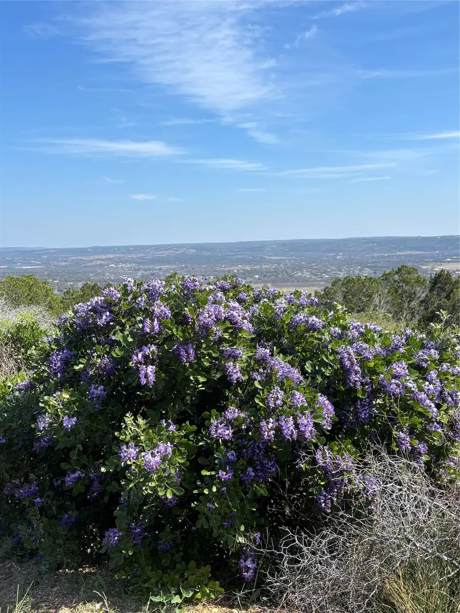 1056 Escalar Dr, Kingsland, TX 78611 - #3