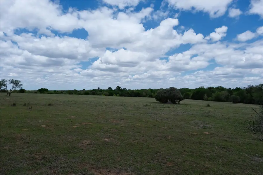 446 Herron Trl, McDade, TX 78650 - #2