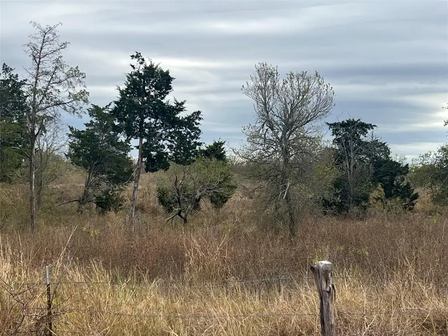 2500 NE County Road 466 Dr, Elgin, TX 78621 - #2