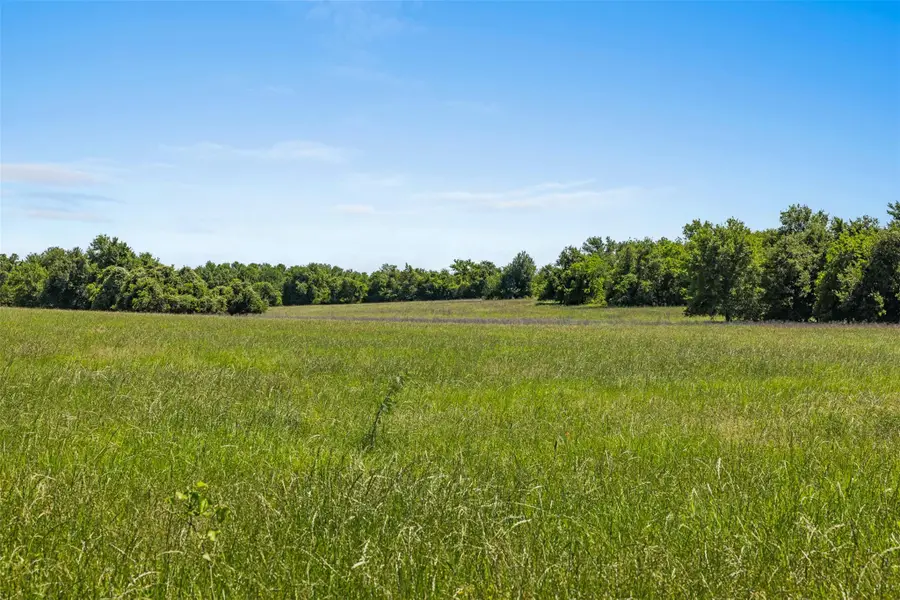 Lot 4 County Road 270, Cameron, TX 76520 - #3