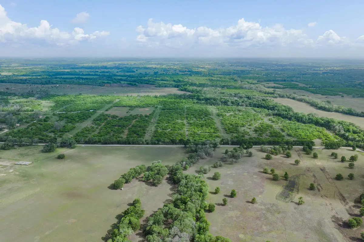 TBD Lot 3 Young Ln, Lockhart, TX 78662 - #1