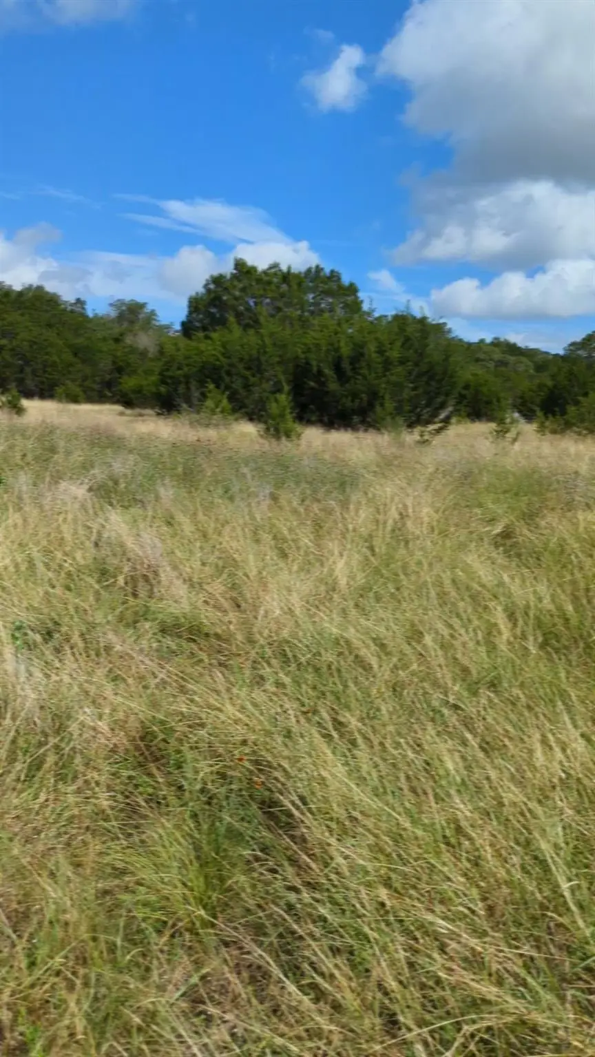 757 Rabbit Ave, Wimberley, TX 78676 - Image #3