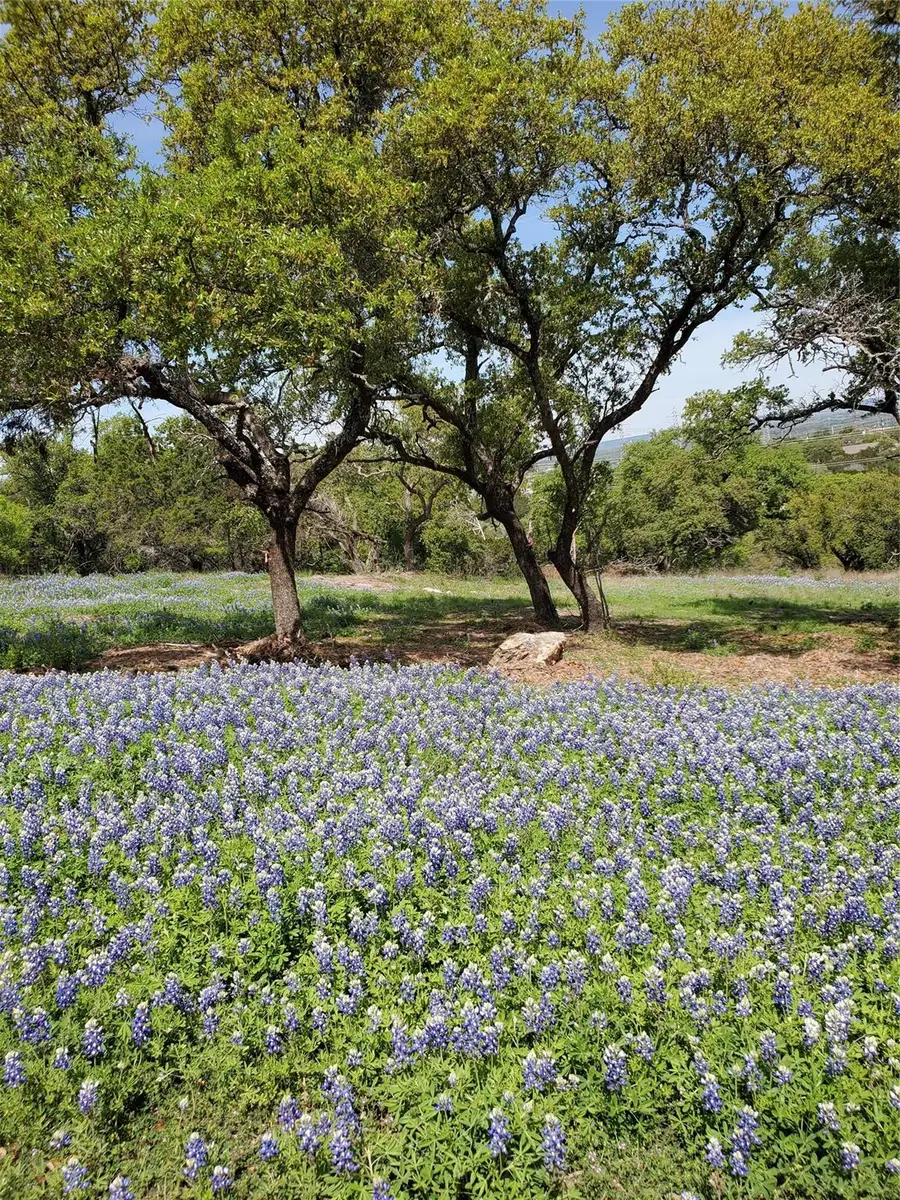 5401 Dew Drop St, Horseshoe Bay, TX 78657 - #2