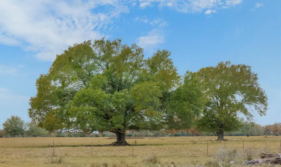 2150 County Road 412, Lexington, TX 78947 - Image #3