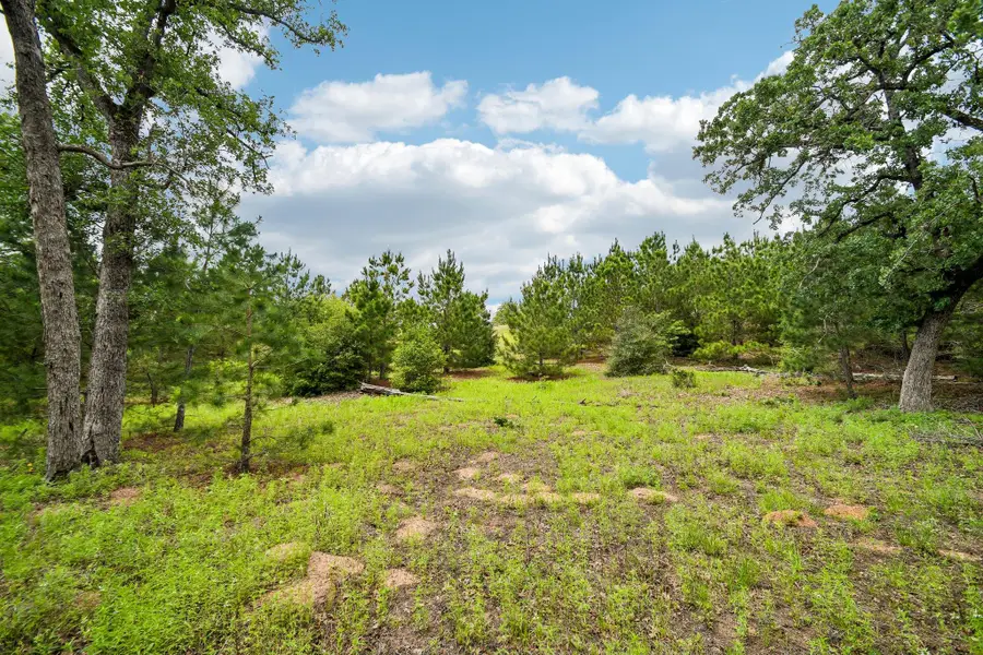1213 Park Road 1c, Smithville, TX 78957 - #2