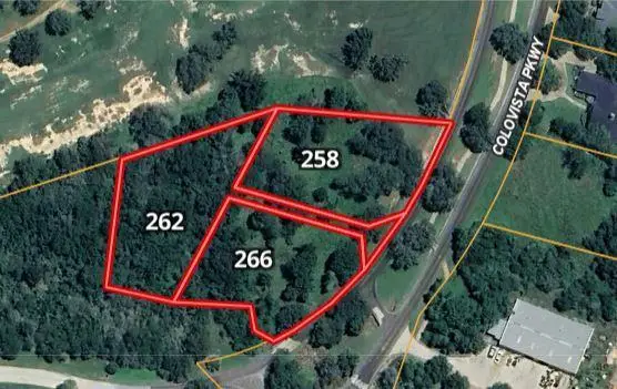 258 Colovista Pkwy, Bastrop, TX 78602 - #3