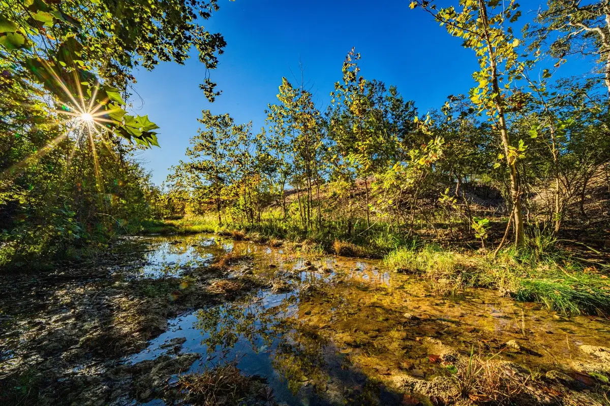 00 F-m 2843, Salado, TX 76571 - Image #1