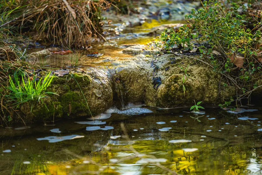 00 F-m 2843, Salado, TX 76571 - Image #3