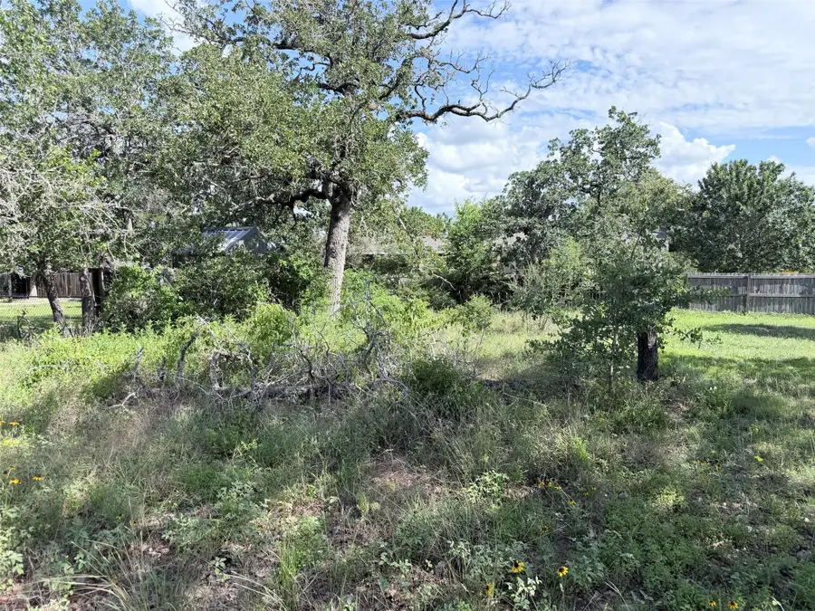 TBD Buffalo Run, Bastrop, TX 78957 - #2