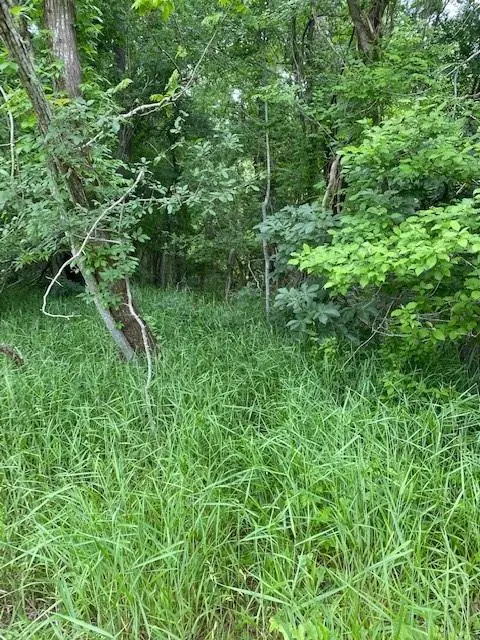 Lot 812 Kaukonahua Ln, Bastrop, TX 78602 - #2