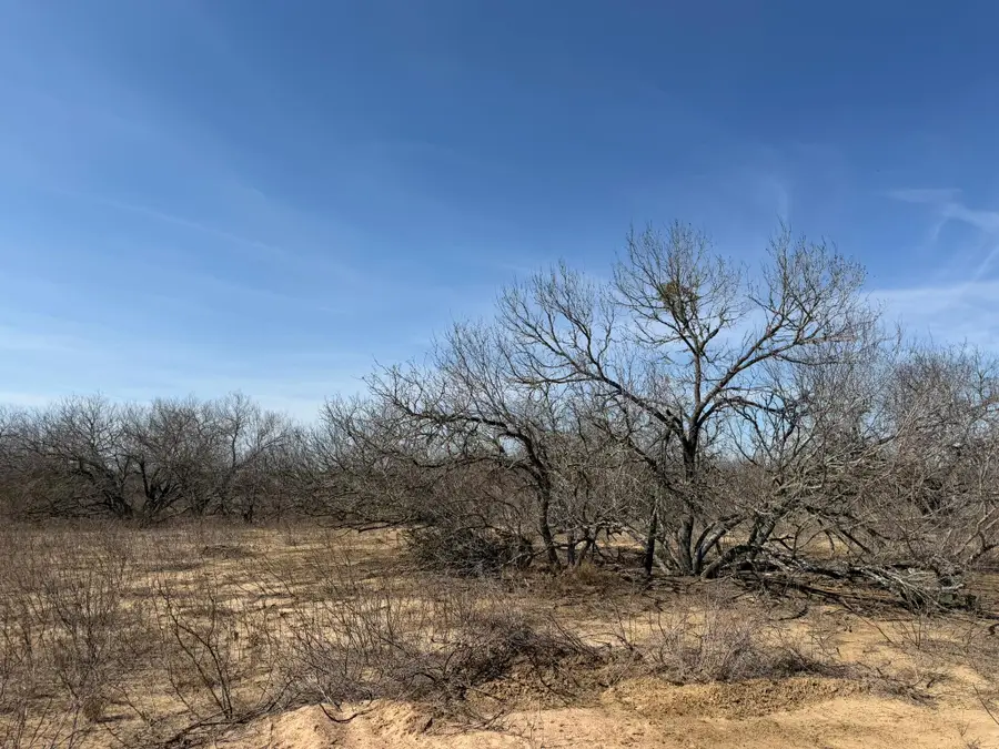 1420 Barth Rd, Dale, TX 78616 - #3