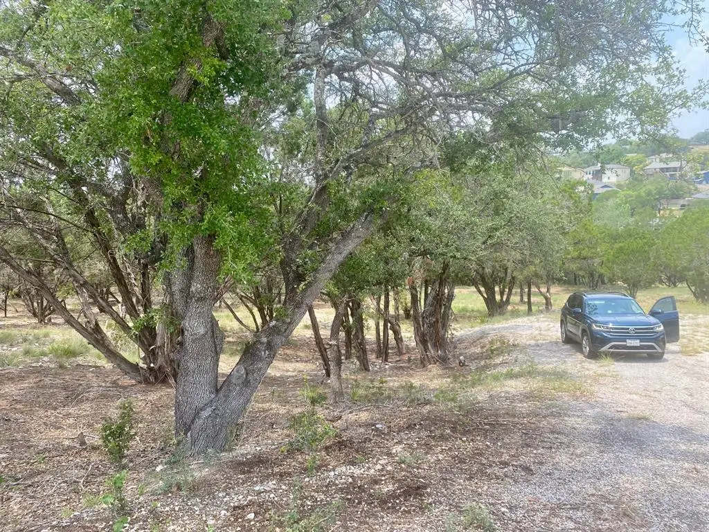 20101 Champlain Cv, Lago Vista, TX 78645 - #1