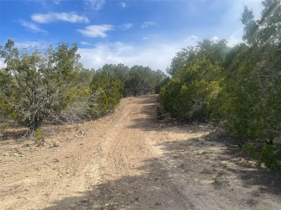 Tract 81 Pr 3442n, Kempner, TX 76539 - #2