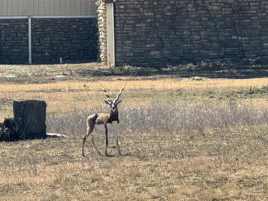 0 E Majestic Creek Dr #Lot 10, Blanco, TX 78606 - #3